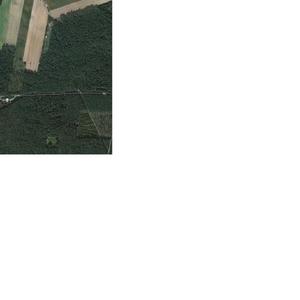 K62 Wierener Strasse - Nettelkamp Richtung Wieren