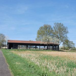 Großsteingrab Züschen