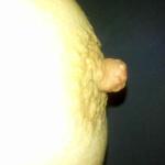 dppaar2013