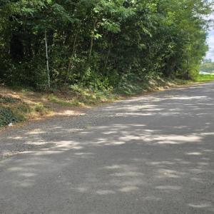 Walzwerkstraße> Alte Tennisplätze !!