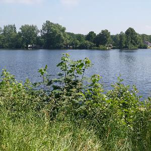 Behlingsee/Bultensee