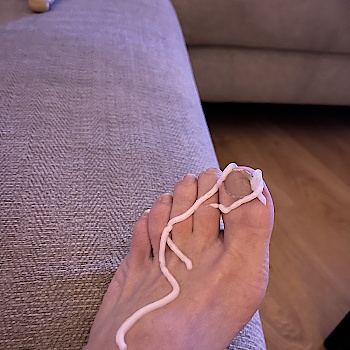 AlexaLatex