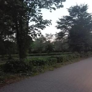 Kaarster See PP1