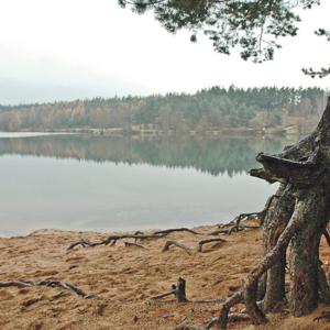 Birkensee