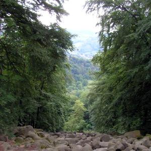 Gewerbegebiet-Lautertalhalle