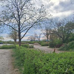 Baggersee Schweinfurt