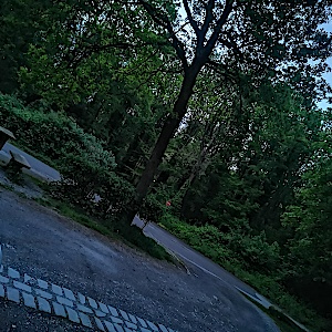 Kleiner Waldparkplatz Nähe U-See