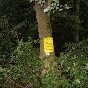 Wander-Parkplatz nähe Kloster-Lorch