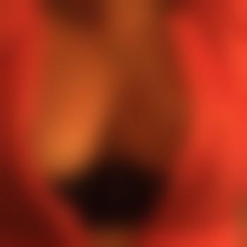 DiePimperlinge