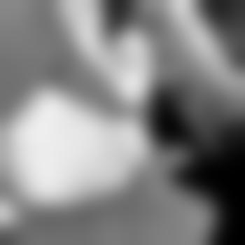 BiSexForFun
