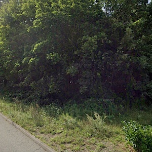 Trenckmannstraße