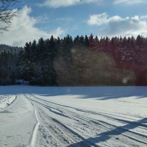 A81