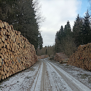 Talsperre Eibenstock wandern, sonnen und mehr?