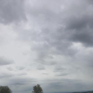 Parkplatz alte Rheinstraße