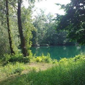 Idyllischer absolut ruhiger !! Waldsee
