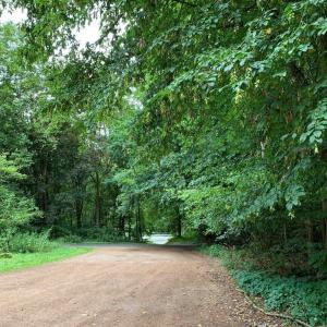 Waldparkplatz Diez