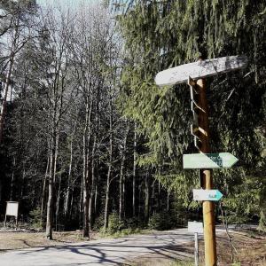 Tharandter Wald - Parkplatz an der Triebisch