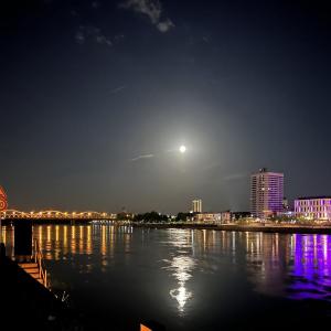 Mannheim Rhein/Rheingalerie