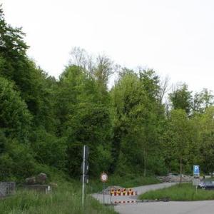 Baggersee Kirchentellinsfurt