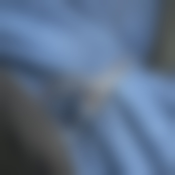 dom_Niklas