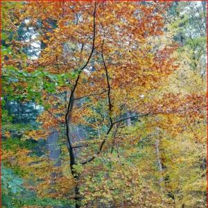 Spermageil in und um Waghäusel