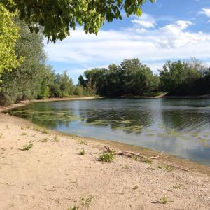 FKK-Strand Mannheim Friesenheimer Insel