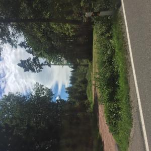 Wanderparkplatz im Wald Region 78