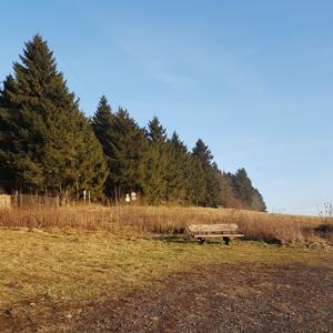 P - Herchenhainer Höhe