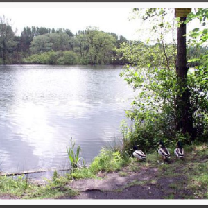 Parkplatz Ewaldsee