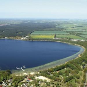 Wilder Badestrand Am Neustädter See