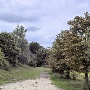 Nattheim Jahnstraße