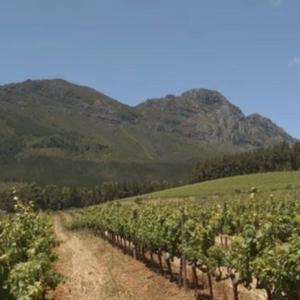 Landau-Godramstein Reiterwiesen