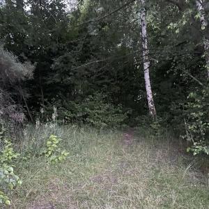 Baggersee in Halberstadt mit Koordinaten