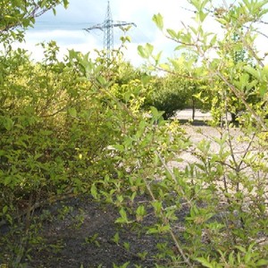 Parkplatz Haunesee Petersberg-Marbach