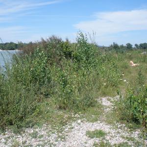 Bergham, Kieslager Gstetten