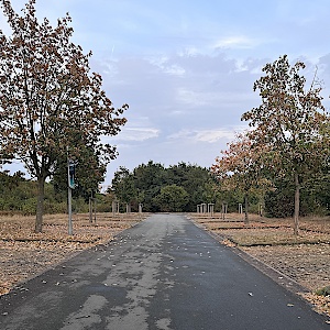 Pp Rheine Kanalhafen