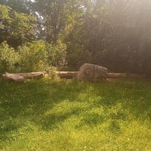 Rodelberg-