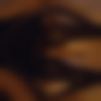 owlpaar10