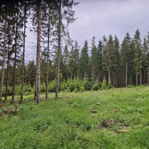 Treffen Südthüringen und Franken / Rhön