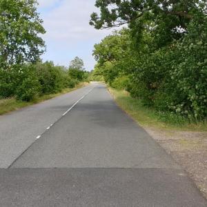 Alte Gärtnerei / Funkturm