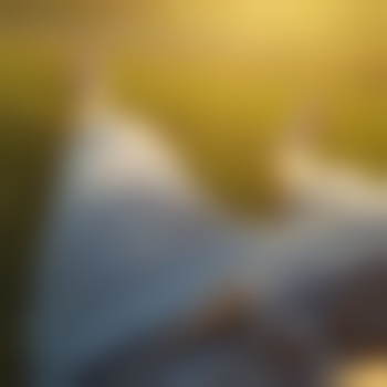 MG42