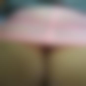 Bumsfideler-2819