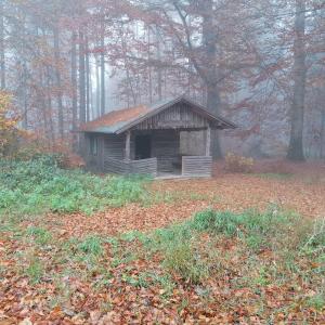 Waldparkplatz