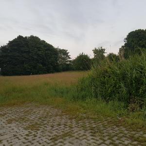 Norden Ausfahrt Richtung Emden. Auto+Outdoor Sex