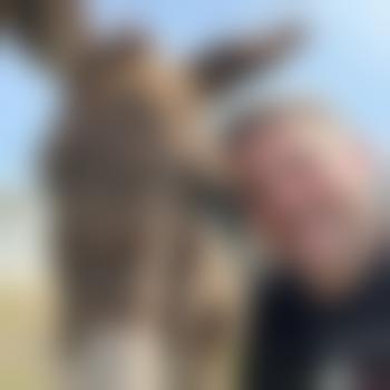 Dortmunder-neugierig