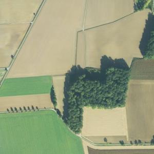 Kleiner Wald in der Nähe vom Wasserturm Lippstadt