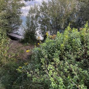 OutdoorSex Freising / Landkreis