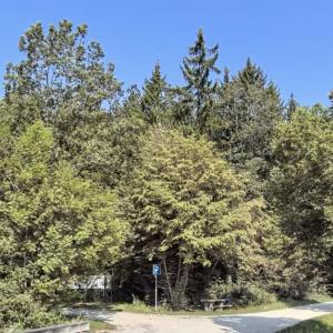 Wanderparkplatz Brunnenhau Ugenhof Bolheim