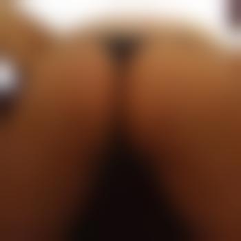 Andi-3445