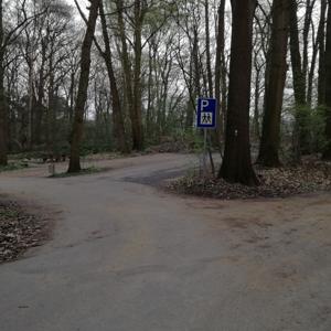 Waldparkplatz im Weselerwald